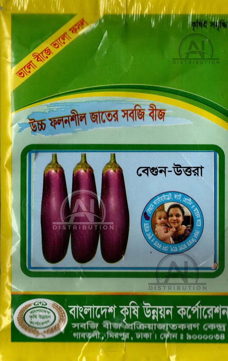 Picture of Long Brinjal Seeds 0.1gm Re-Pack BADC Seeds