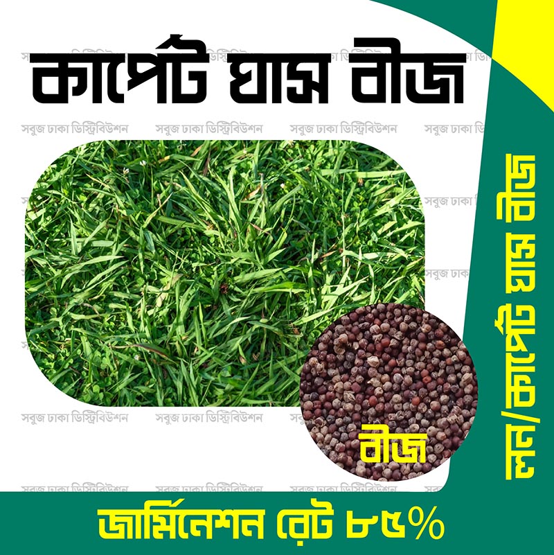 Picture of Special Carpet Grass Seed Imported 5gm (Thailand)