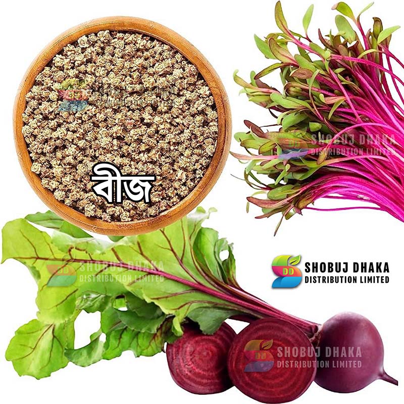 Picture of Beet Root Seeds Re-Pack F1 Hybrid (INDIAN) 0.1gm