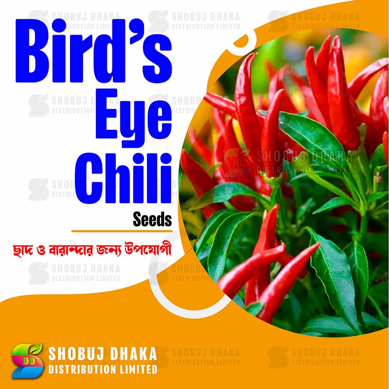 Picture of Super Hot Bird's Eye Chili Seeds 0.1gm Re-pack