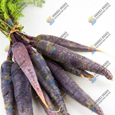 Picture of Chinese Black Wonder Carrot Seeds 0.1gm Re-Pack