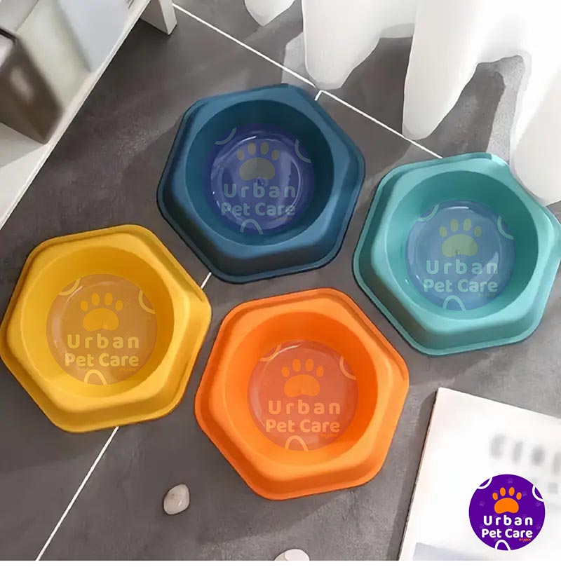 Picture of Premium Quality Cat Food Bowl Single, Blue, Pink, feeding dog, cat, kitten 1pc