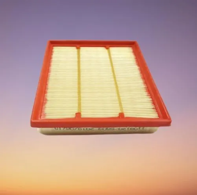 Buy AIR FILTER DFSK GLORY ( N ) at best price In Bangladesh