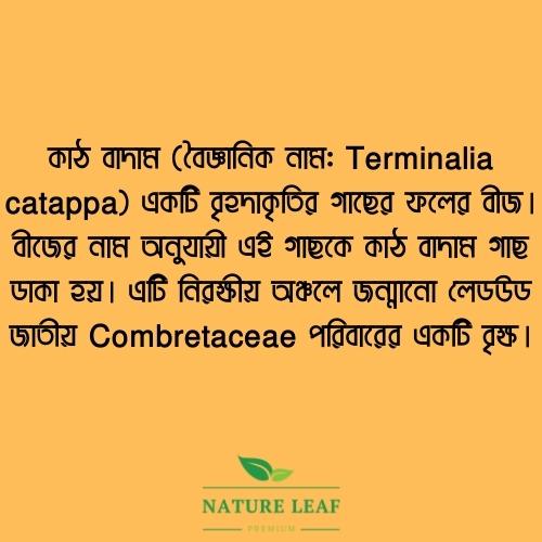 Picture of Nature Leaf - Almond Nuts Whole - 200gm Jar (Kath Badam)