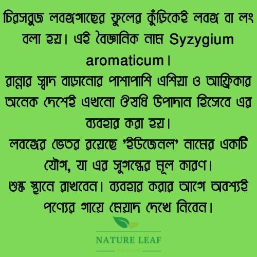 Picture of Nature Leaf - Clove Whole - 100g Jar (Lobonggo)