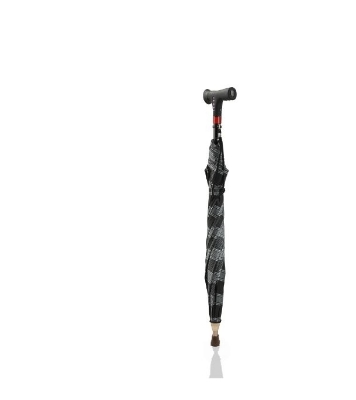 Buy Vision Digital Walking Stick Online at Best Price