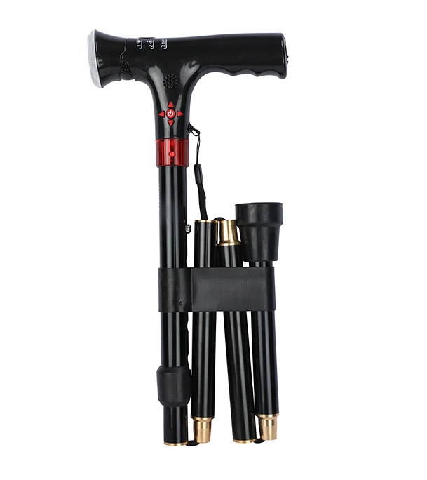 Picture of VISION Digital Walking Stick 4 In 1-FM
