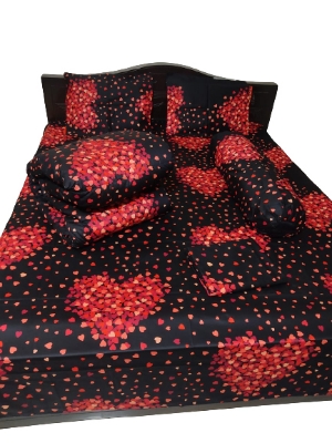 Picture of Premium  Twill  Fabric Comforter set 5 in 1