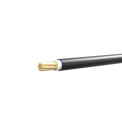Buy Bizli Cable BYA-FR (4.0 rm) Black Online at Best Price