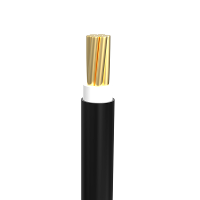 Buy Bizli Cable BYA-FR (4.5 rm) Black Online at Best Price