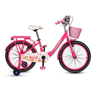 Picture of Duranta Steel 1-Spd Camellia 20" Pink Bicycle