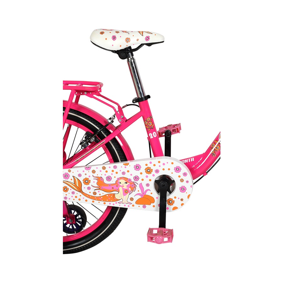 Picture of Duranta Steel 1-Spd Camellia 20" Pink Bicycle