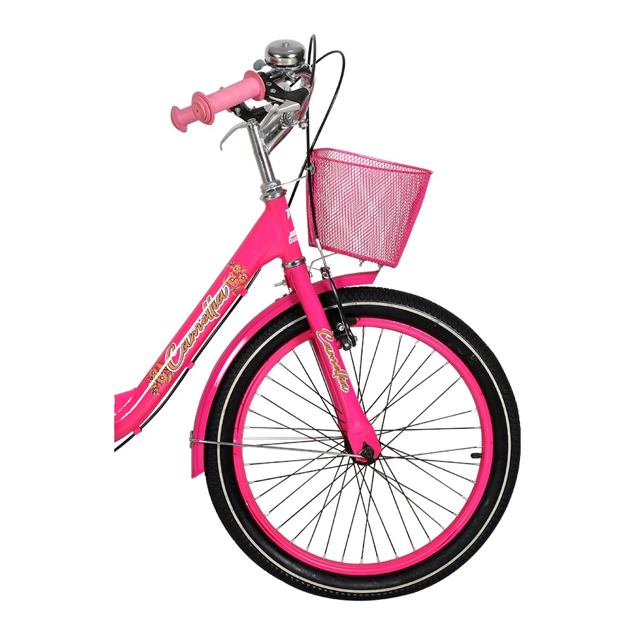 Picture of Duranta Steel 1-Spd Camellia 20" Pink Bicycle