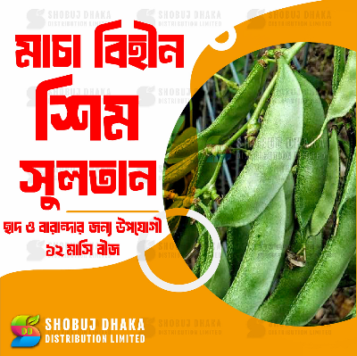 Picture of Bankim Sultan Bean Seeds 10gm Pack (Imported)