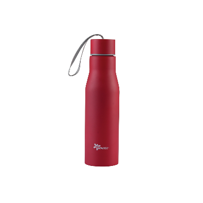 Buy Thermo Water Bottle-Elegant at Best Price In Bangladesh