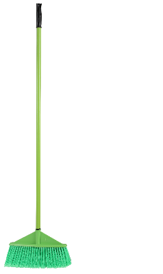 Picture of Fancy Broom Brush