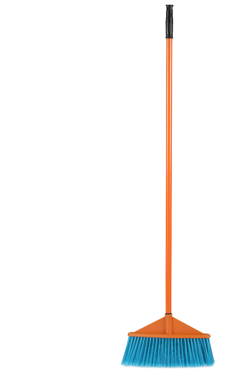 Picture of Fancy Broom Brush