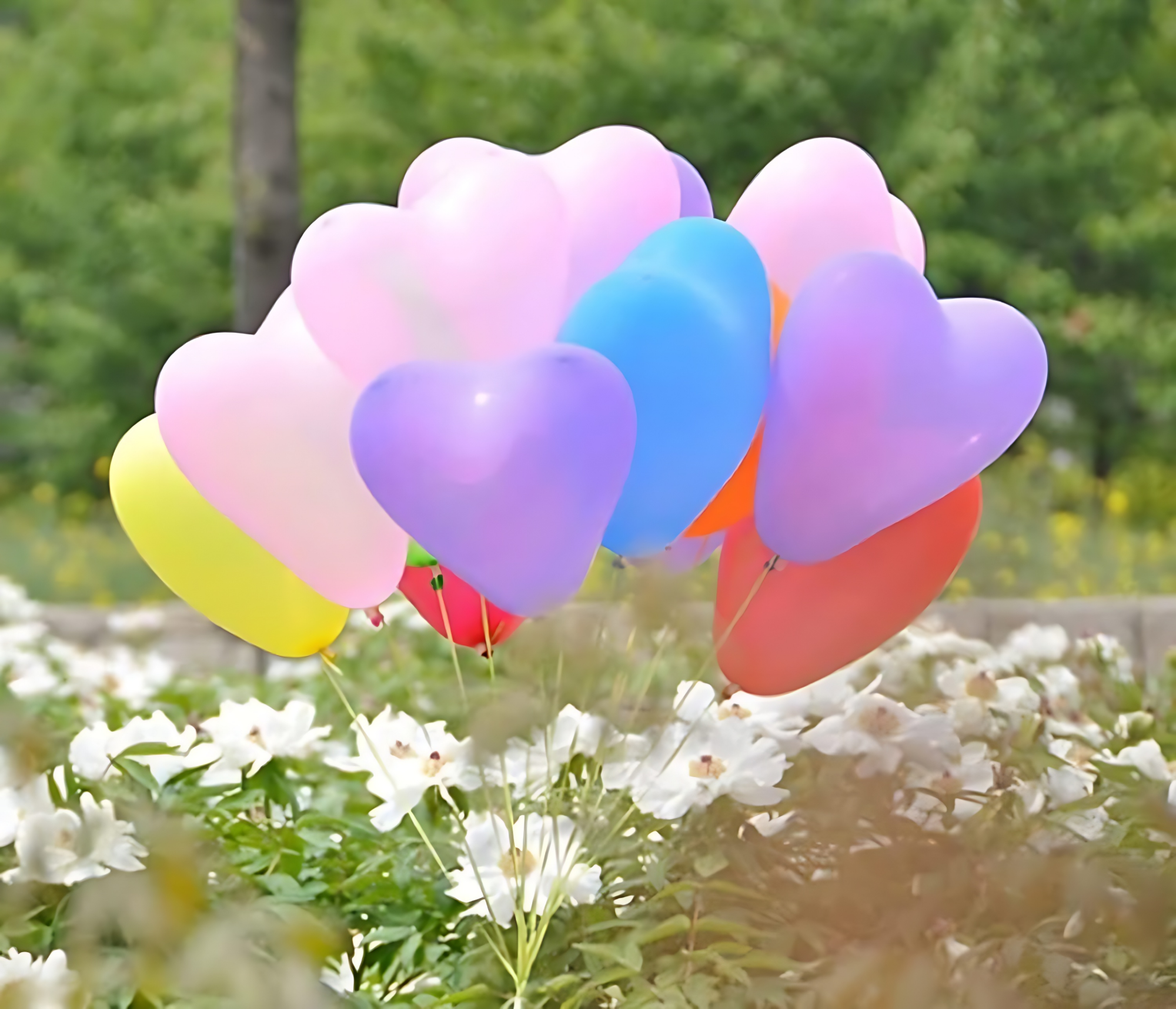 Picture of Celebrate with Love: Multicolor Heart Balloons for Birthdays, Anniversaries, Valentine’s Day - Spread Joy and Romance! - (Pack of 30 Pcs)