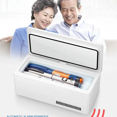 Buy Portable Refrigerator Freeze Case Mini Insulin Cooler Insulated Box Reefer Car Constant Temp 2-8℃ Organizer Storage for Travel at best price in Bangladesh