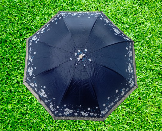 Buy Ladies Fashionable & Elegant Anti UV Sunshade Print Border Lace Umbrella Multicolor at Best Price In Bangladesh