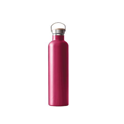 Buy Thermo Travel Flask-Radiant 500 ML Assorted at Best Price In Bangladesh