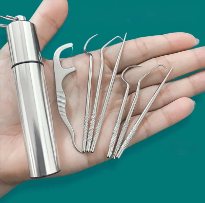 Buy 1 Set Toothpick Set Metal Stainless Steel Oral Cleaning Tooth Flossing Portable Toothpick Floss Teeth Cleaner with Storage Tube    Best price in Bangladesh