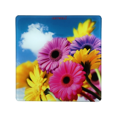 Buy Getwell Digital Body Weighing Scale 180kg - Model 005 for Accurate Weight Online at Best Price in Bangladesh