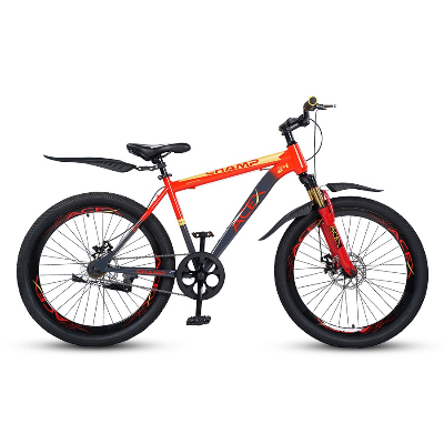 Buy ACEX Steel 1-Speed Champ 24 inch Red Bicycle Online in Bangladesh at Best Prices 