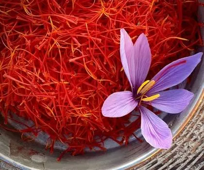 Picture of Kashmiri Raw Saffron Kesar (Jafran) - 1 Gm (Imported)
