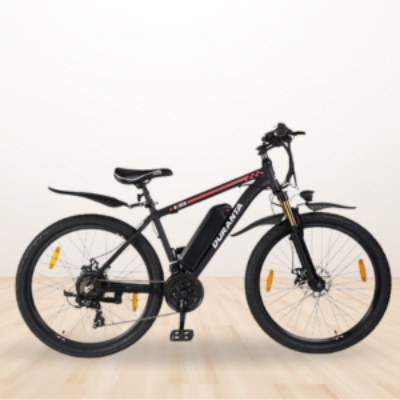 Picture for category Electric Bicycle D