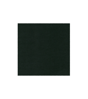 Buy R CNG Leather Single TC 0.90mm at Best Price In Bangladesh