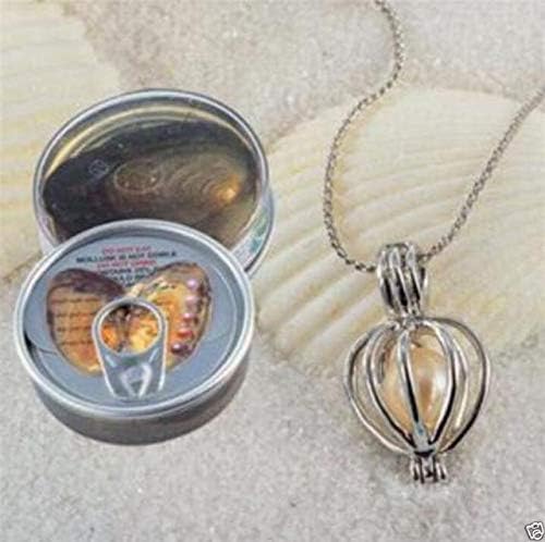Buy Freshwater Wish Pearl Oyster with Pendant to Put Pearl Bead Inside at Best Price In Bangladesh