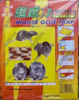 Buy 1pc Strong Mouse Sticky Board Rat Glue Snare Trap Mice Catcher Safe Only