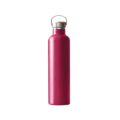 Buy Thermo Travel Flask-Radiant 600 ML Assorted at Best Price In Bangladesh