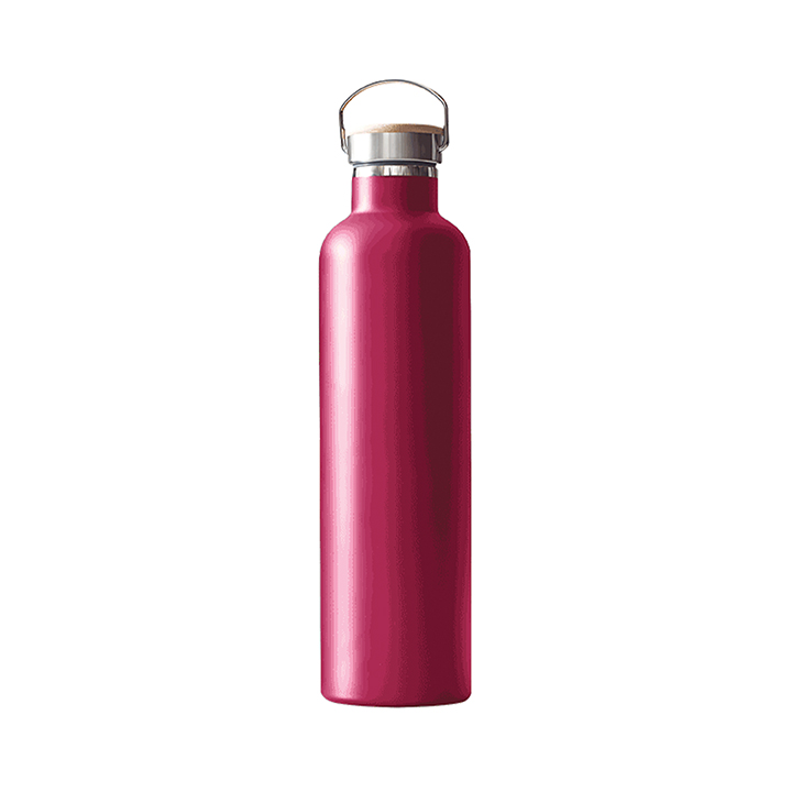 Buy Thermo Travel Flask-Radiant 750 ML Assorted at Best Price In Bangladesh