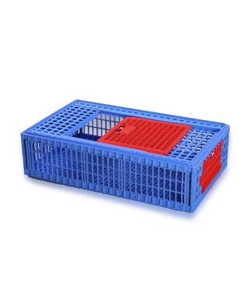 Buy Chicken Case Small SM Blue Online