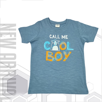 Buy Premium Fabric Pure Cotton Soft & Comfortable Export Quality Half Sleeve T-Shirt For Baby Boys Online at Best Price in Bangladesh