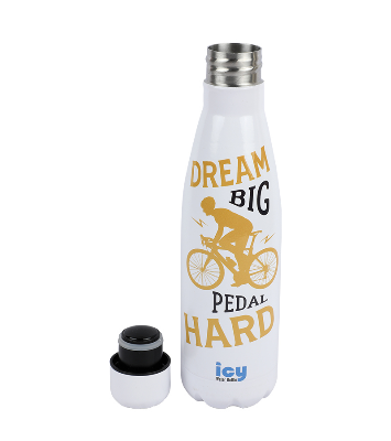 Buy Hot & Cold Stylish SS Cola Water Bottle 450 ML at Best Price In Bangladesh