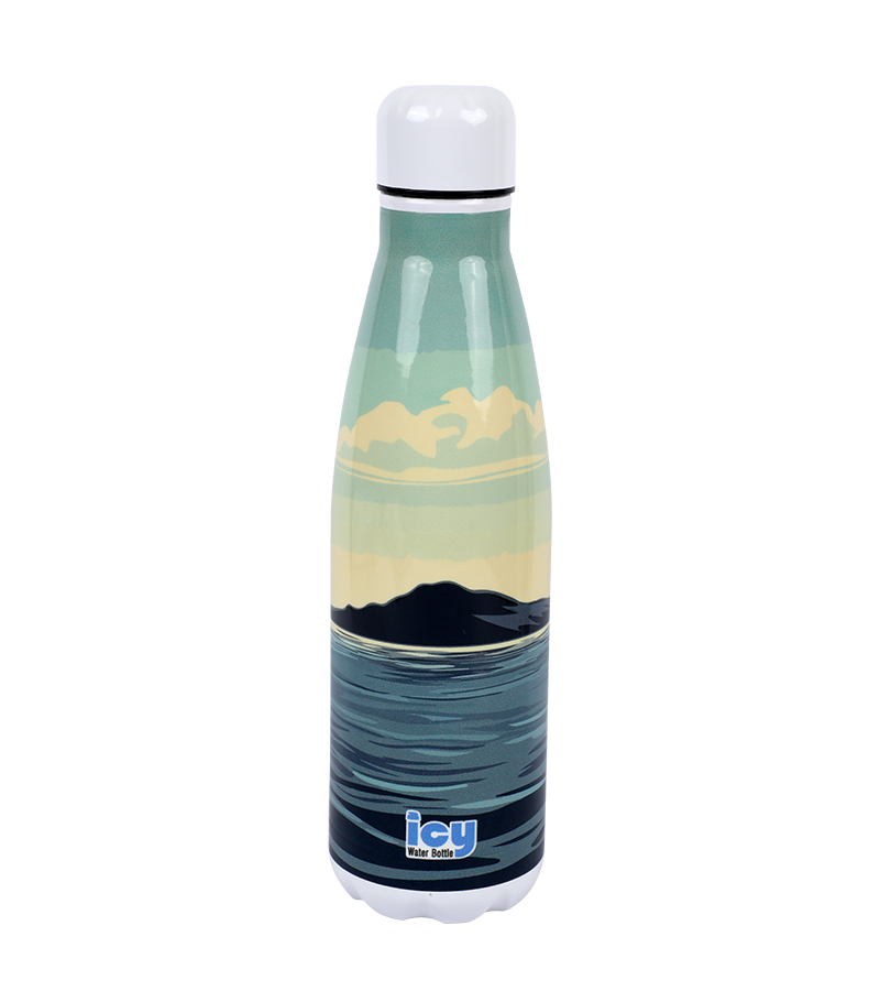 Buy Hot & Cold Stylish SS Cola Water Bottle 450 ML at Best Price In Bangladesh