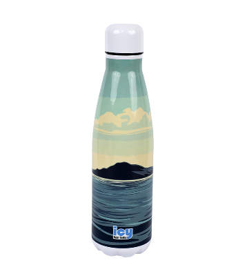 Buy Hot & Cold Stylish SS Cola Water Bottle 450 ML at Best Price In Bangladesh