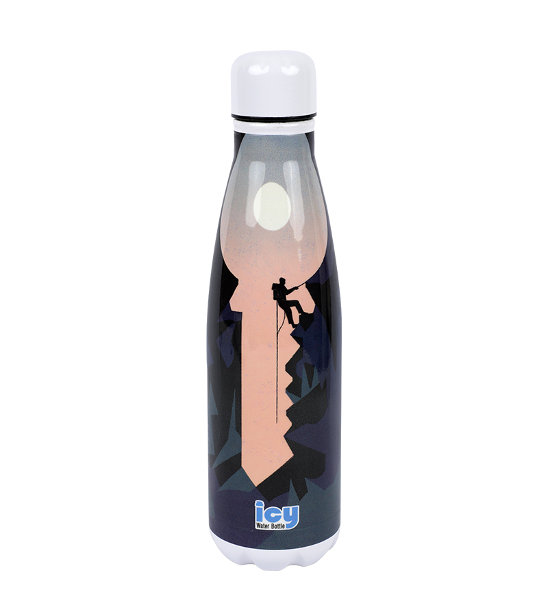 Buy Hot & Cold Stylish SS Cola Water Bottle 450 ML at Best Price In Bangladesh