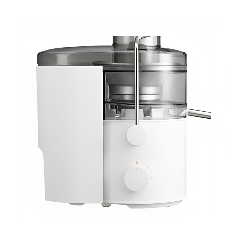 Buy Panasonic 2 Liter MJ-CB100 Large-Capacity Juicer Online at Best Price