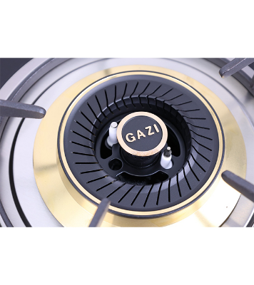 BuyGazi Smiss Gas Stove - High Quality Tempered Glass - TG - 202 Online at Best Price	