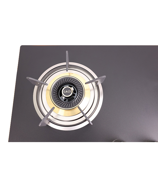 BuyGazi Smiss Gas Stove - High Quality Tempered Glass - TG - 202 Online at Best Price	