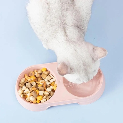 Picture of Pet Dishes Solid Color Double Bowl PP Material Cat Food Dispenser for Indoor