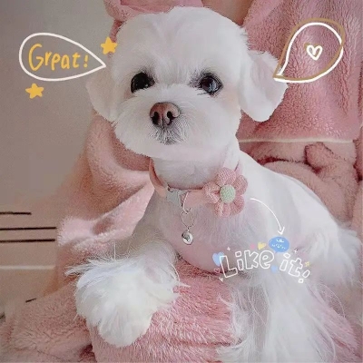 Picture of Lovely Cat Collar Adjustable Cartoon Style Soft Plush Flower Collar with Bell