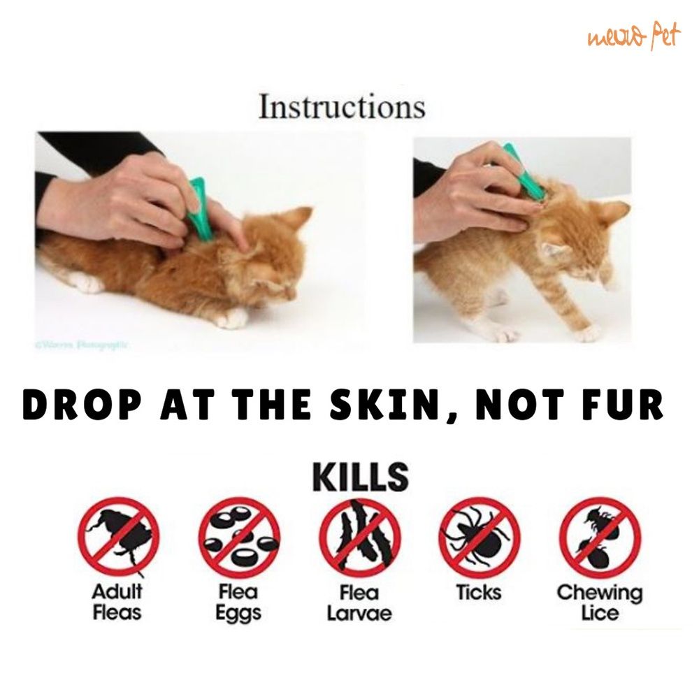 Picture of Flea Killer Spot On 2.5ml