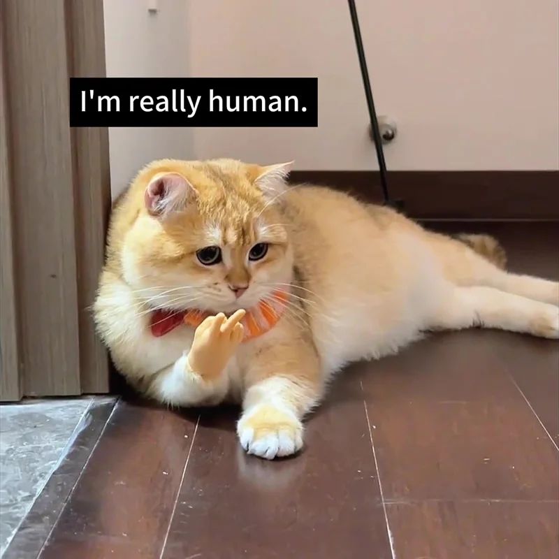 Picture of 1PC New Mini Hands Model Tiny Hands Cat Massage Tool Funny Silicone Gloves Finger Gloves Little Finger Cat Toy