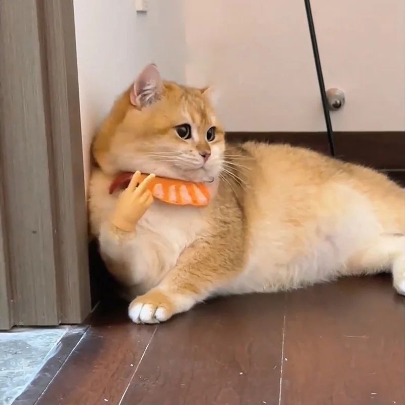 Picture of 1PC New Mini Hands Model Tiny Hands Cat Massage Tool Funny Silicone Gloves Finger Gloves Little Finger Cat Toy