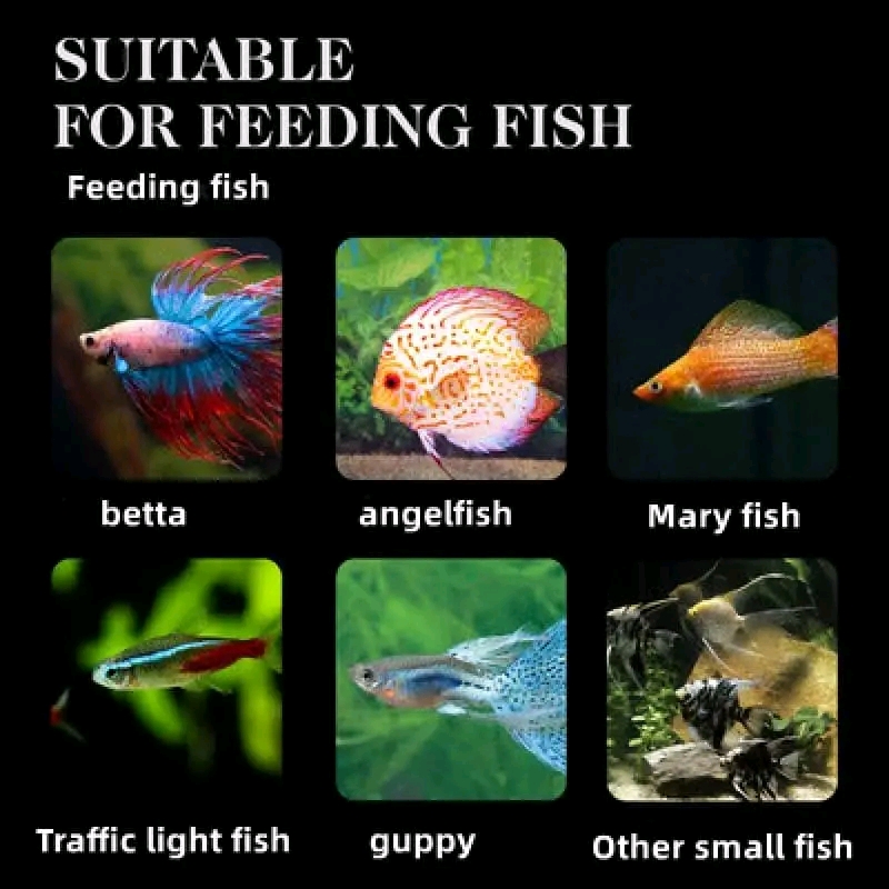 Picture of SISO TB-F3 Pro Color Royal Tropical Bits Food 20g Tropical Fish Food